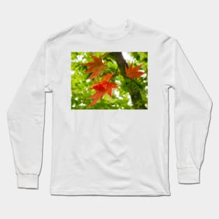 Colourful Leaves Long Sleeve T-Shirt